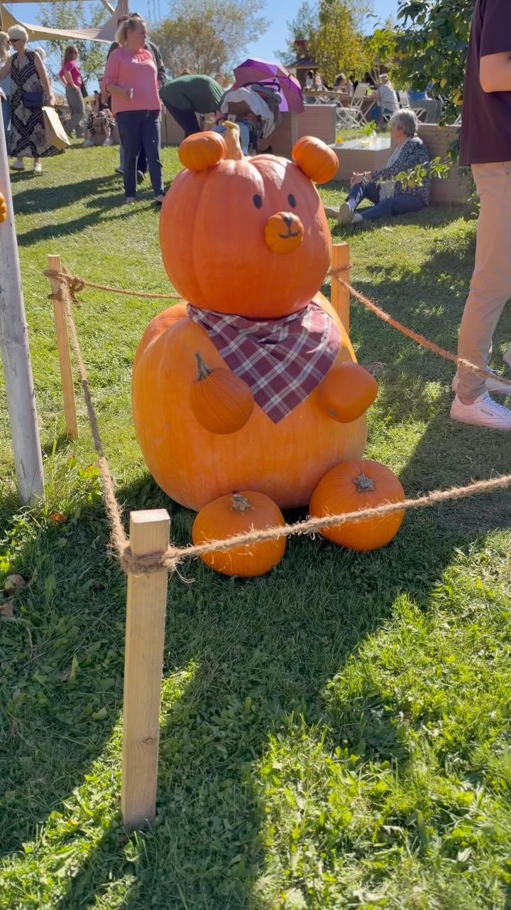Instagram-Reel: 🎃 Ausflugstipp mit Kindern rund um München: „Kunst & Kürbis“ in Sickertshofen mit Kürbissen, Labyrinth, Maisp